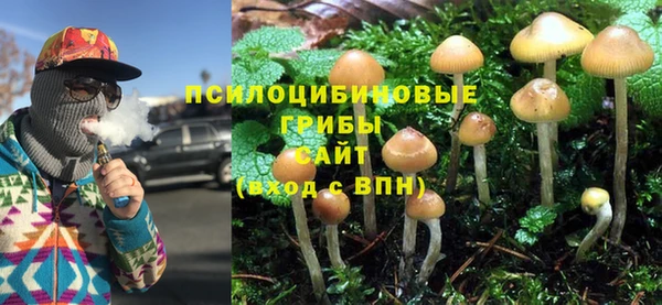 скорость Липки