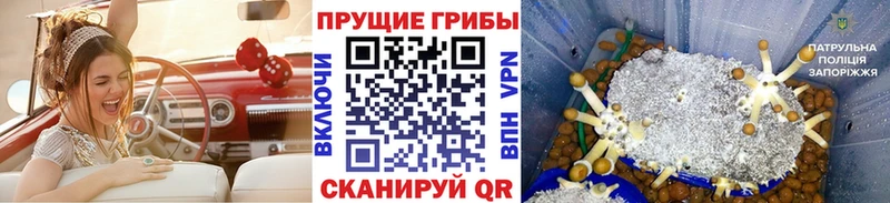 Псилоцибиновые грибы Magic Shrooms  Трёхгорный 